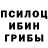 Псилоцибиновые грибы мицелий Ashot Binyatov