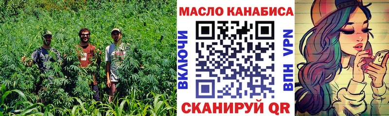 как найти   Очёр  Дистиллят ТГК THC oil 